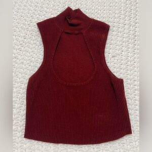 Wine cropped ribbed turtle neck with cut out